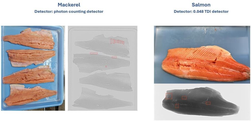 Fish Code Radiology X-Ray inspection system for fish bones MTC-78XPRO